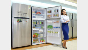 [간추린 뉴스]KT, 드론레이싱팀 ‘기가파이브’ 창단 外