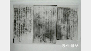 “재야 사학자들은 사이비” 주류 소장학자들의 반격