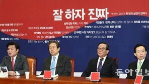 새누리, 슬로건 ‘정신차리자 훅 간다’ 서 ‘잘하자 진짜’ 로…왜?