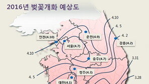 올해 벚꽃, 서울은 내달 7일 개화해 13일 절정