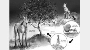 교양 없는 이야기