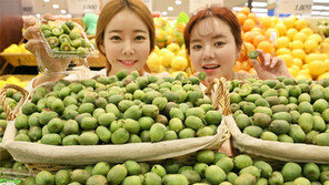 한입에 쏙… 동전만 한 크기의 ‘키위베리’