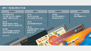 경영난 카드사들, 혜택 많은 카드 없애고 부가서비스 축소