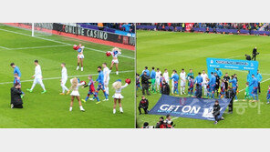 매 경기 흰머리독수리의 활공…치어리더 공연은 덤