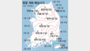 2016년 벚꽃 평년보다 3∼5일 일찍 핀다