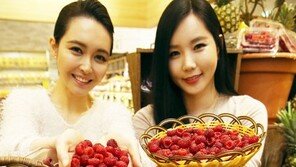 “산딸기, 피로 해소-면역력 증진에 좋아요”