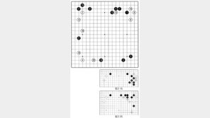 [바둑]제59기 국수전… 유연한 초반