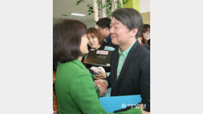 安 “정치9단이 비웃어도 愚公移山” 