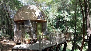 에어비앤비에서 가장 인기 있는 집이 여기?