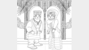 이상한 나라의 고양이