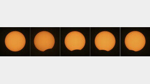 발리에서 시작해 하와이에서 끝난 ‘일식 특급 우주쇼’