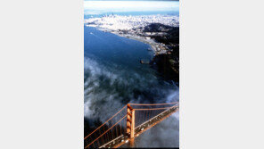 벤처기업 많은 샌프란시스코에 ‘反 기업정서’ 강해진 이유는…