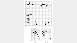 [바둑]제59기 국수전… 근거의 뿌리를 뽑다