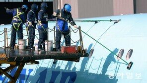 비행기 ‘봄맞이’ 대청소