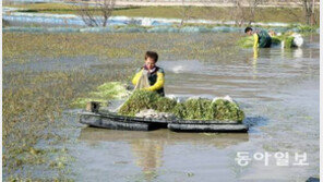 [오늘 날씨]서울과 경기도 일부 건조주의보 발효, 낮 최고기온 3~10도
