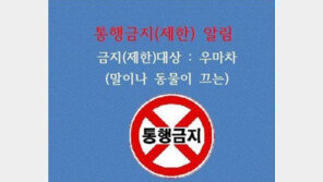 진해 군항제, 말이 끄는 꽃마차 운행 금지