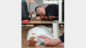 "강호동 같은 펫시터? 바로 퇴짜 맞아요"