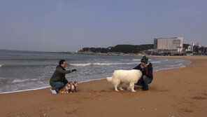[오늘의 채널A] 반려견과 함께 한 주병진·지상렬