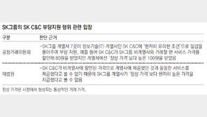 ‘일감 몰아주기’ 소송 공정위 패소