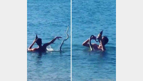 애완 뱀과 수영 즐기는 남자, 깜짝