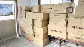 냥이 천국 '아오시마'에 떨어진 사료폭탄