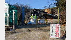 충남 논산서 또 구제역 양성…논산 돼지 반출 금지