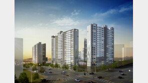 신도시 갔던 실수요자 구도심 유턴… 구도심 분양 인기 왜