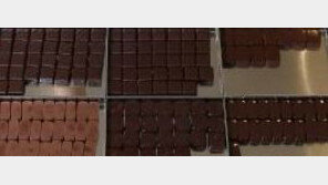 동남아산 초콜릿이 ‘유럽산 수제 초콜릿’으로…제조업체 8곳 적발