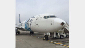 새와 충돌한 여객기 동체 파손