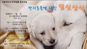 "반려동물 발정·출산이 궁금하세요?"