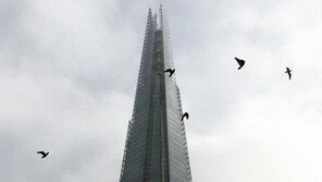 英 최고층 건물서 베이스 점핑한 남성, 보기만 해도 ‘스릴 만점’