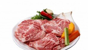 [Food&Dining]“육류에 대한 오해와 편견은 그만!” 균형잡힌 식사 하세요∼ 
