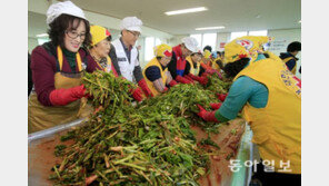 ‘사랑의 김치담그기’