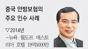 美-日기업 잇따라 사냥… 中자본 ‘M&A 굴기’ 