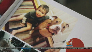 반려 동물 죽으면 위로 휴가 주는 기업 ‘화제’… “변화에 적응!”