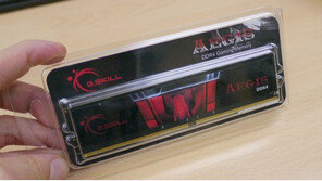 [리뷰] 문턱 낮춘 DDR4 게이밍 메모리, 지스킬 이지스 PC4-17000