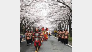 벚꽃길과 함께 ‘역사여행’
