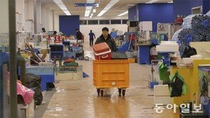 5200억 들인 새 노량진시장 경매 첫날, 거래량 70% ‘증발’ 왜?