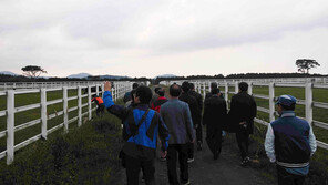 [콤팩트뉴스] 21일까지 ‘말산업 창업전문’ 교육생 모집