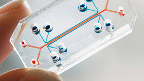 진짜 폐처럼 팔딱팔딱, 눈처럼 깜빡깜빡… ‘생체 칩’의 진화