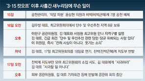 김무성 “벽과 대화하는 느낌”… 이한구 “대표가 사고만 쳐”