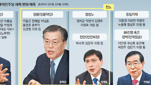 더민주 ‘친김종인 그룹’ 꿈틀… 구원투수가 붙박이 되나