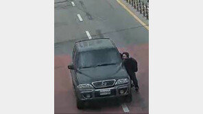 도둑맞은 아빠차 발견한 아들, 곡예추격