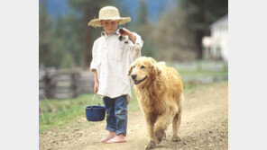 초딩 아들에게 개 산책 맡겨도 될까