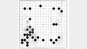 “정교해지는 알파고의 수읽기는 무서워…”