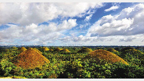 [여행, 나를 찾아서]따분한 휴양지는 싫다?… 깜짝 놀랄 휴양지 ‘보홀’로 