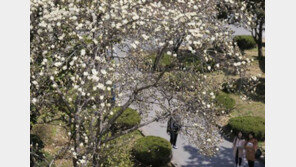 절기상 ‘춘분’…미세먼지 나빴지만 완연한 봄