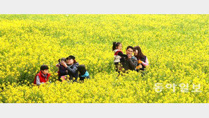유채꽃 사이 봄 나들이