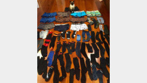 남자 속옷에 흠뻑 빠진 고양이