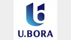 ‘반도유보라다운 가치 담겠다'…반도건설 BI 리뉴얼